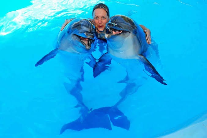 Dolphins